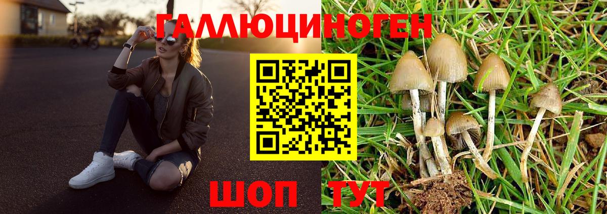 Псилоцибиновые грибы Magic Shrooms Ликино-Дулёво